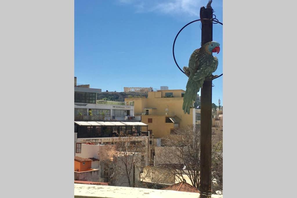Mid Century 3 Bdr City Centre Townhouse Athena Bagian luar foto